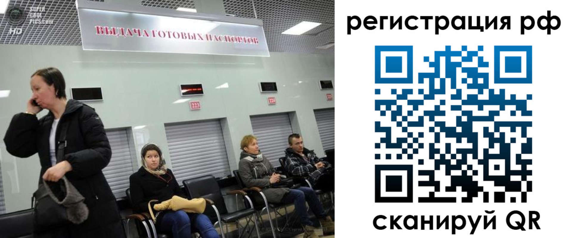 прописка для школы в Мурино